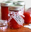 sweet-pepper-and-onion-relish-copycat image