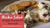 weight-watchers-freestyle-chicken-salad-recipe-with-zero image
