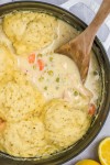 best-chicken-and-dumplings-recipe-easy-chicken image