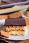 no-bake-chocolate-eclair-dessert-the-recipe-critic image