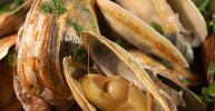 how-to-cook-clams-allrecipes image