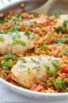 one-pot-italian-chicken-and-orzo-pasta image