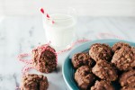 18-best-no-bake-cookie-recipes-the-spruce-eats image