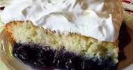 9-easy-desserts-to-make-with-fresh-blueberries image