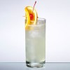 collins-cocktails-recipes-and-history-diffords-guide image