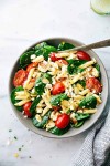 healthy-chicken-pasta-salad-the-recipe-critic image