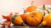 13-most-cooked-pumpkin-recipes-popular-kaddu image