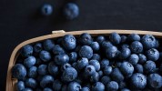 what-are-blueberries-nutrition-health-benefits image
