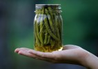 24-hour-pickled-green-bean-recipe-the-spruce-eats image