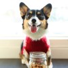 peanut-butter-banana-dog-treats-damn-delicious image