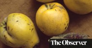 nigel-slaters-quintessential-quince-food-the-guardian image