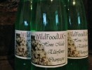 elderflower-champagne-wild-food-uk image