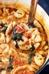 creamy-tuscan-garlic-tortellini-soup-the-recipe-critic image