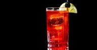 sloe-gin-fizz-cocktail-recipe-liquorcom image