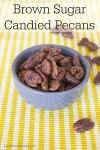 brown-sugar-candied-pecans-busy-mommy-media image