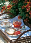 fresh-apricot-preserve-recipes-delia-online image