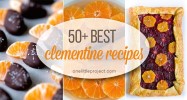 50-best-clementine-recipes-one-little-project image
