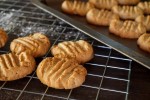 cardamom-cookie-recipe-the-spice-house image