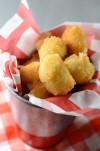 fried-cheese-curds-with-panko-recipe-lifes-ambrosia image