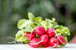 how-to-cook-radish-greens-the-curious-coconut image