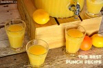 the-best-punch-recipe-the-farmwife-drinks image