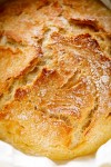 artisan-bread-recipe-cafe-delites image