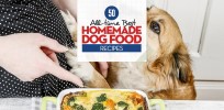 50-best-homemade-dog-food image