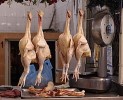 chicken-as-food-wikipedia image