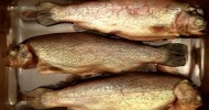 10-best-smoked-trout-brine-recipes-yummly image