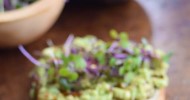 10-best-microgreens-recipes-yummly image
