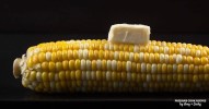 best-instant-pot-corn-on-the-cob-tested-by-amy-jacky image