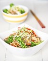 chow-mein-and-chop-suey-recipes-the-spruce-eats image