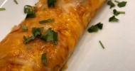 10-best-low-carb-chicken-enchiladas-recipes-yummly image