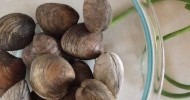 10-best-fresh-littleneck-clams-recipes-yummly image