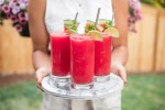 watermelon-slushie-recipe-only-4-ingredients-from image