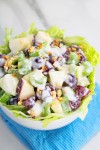 waldorf-salad-recipe-girl image