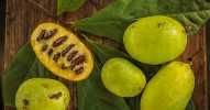 what-is-pawpaw-here-are-6-fascinating-facts-about-this image