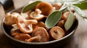 15-best-mushroom-recipes-easy-mushroom image