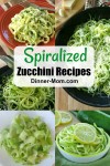 spiralized-zucchini-recipes-and-how-to-guide-the image