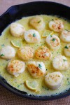 creamy-garlic-scallops-recipe-best-crafts-and image