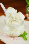 3-ingredient-creamy-coconut-ice-cream-no-machine image