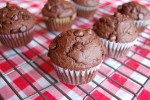 double-chocolate-chip-muffins-recipe-the-spruce-eats image