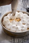 basic-meringue-recipe-let-the-baking-begin image