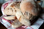 sourdough-starter-recipe-for-friendship-bread-the image
