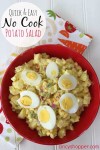 quick-easy-no-cook-potato-salad image