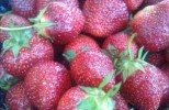 calories-in-strawberries-and-nutrition-facts-fatsecret image