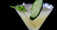 10-best-cucumber-mint-vodka-drinks-recipes-yummly image
