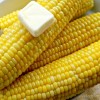 milk-boiled-corn-on-the-cob-bigovencom image