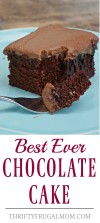 best-ever-chocolate-cake-no-eggs-no-butter-thrifty image