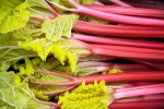 easy-recipe-for-rhubarb-compote-the-spruce-eats image